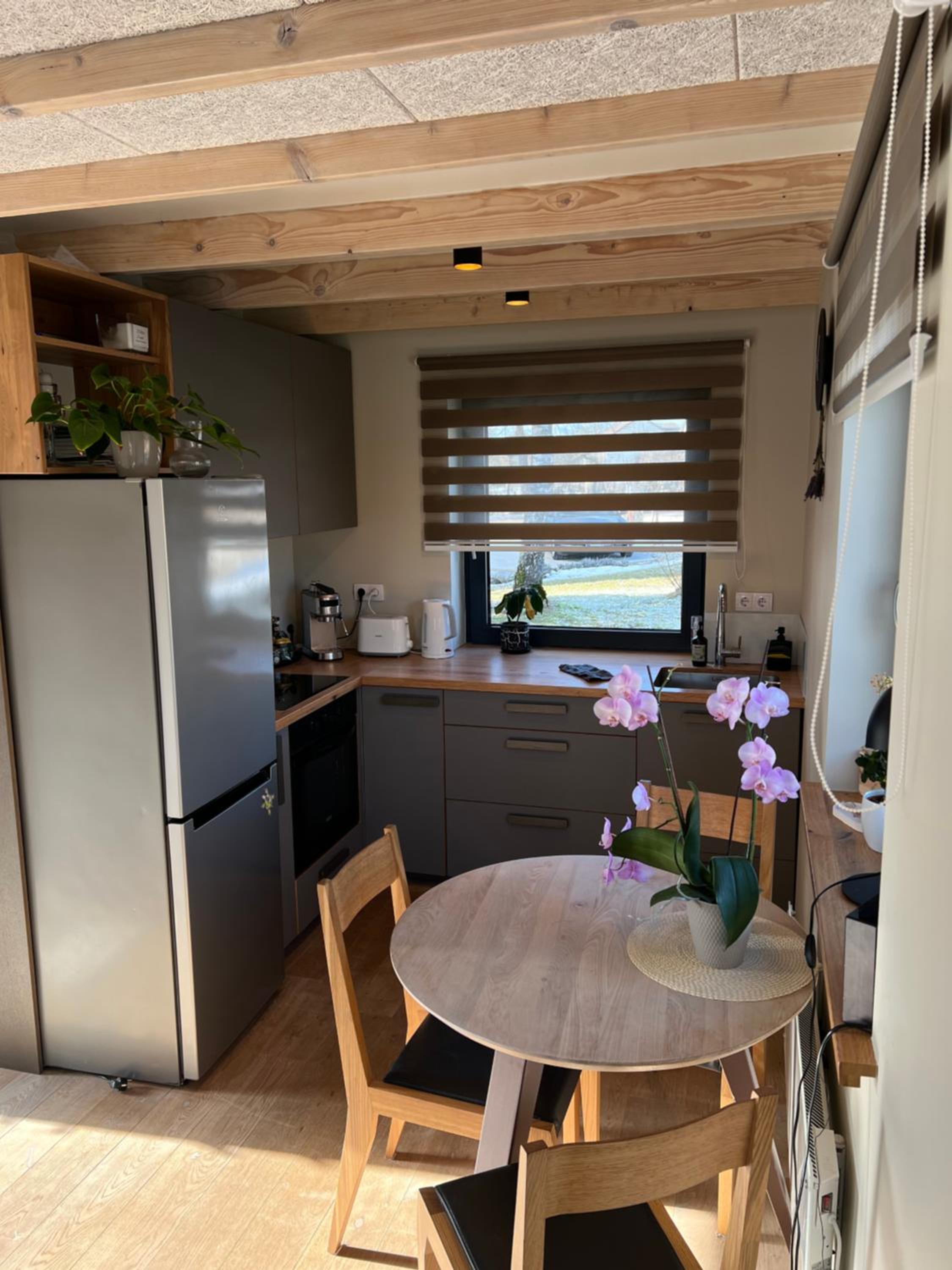 Bear House