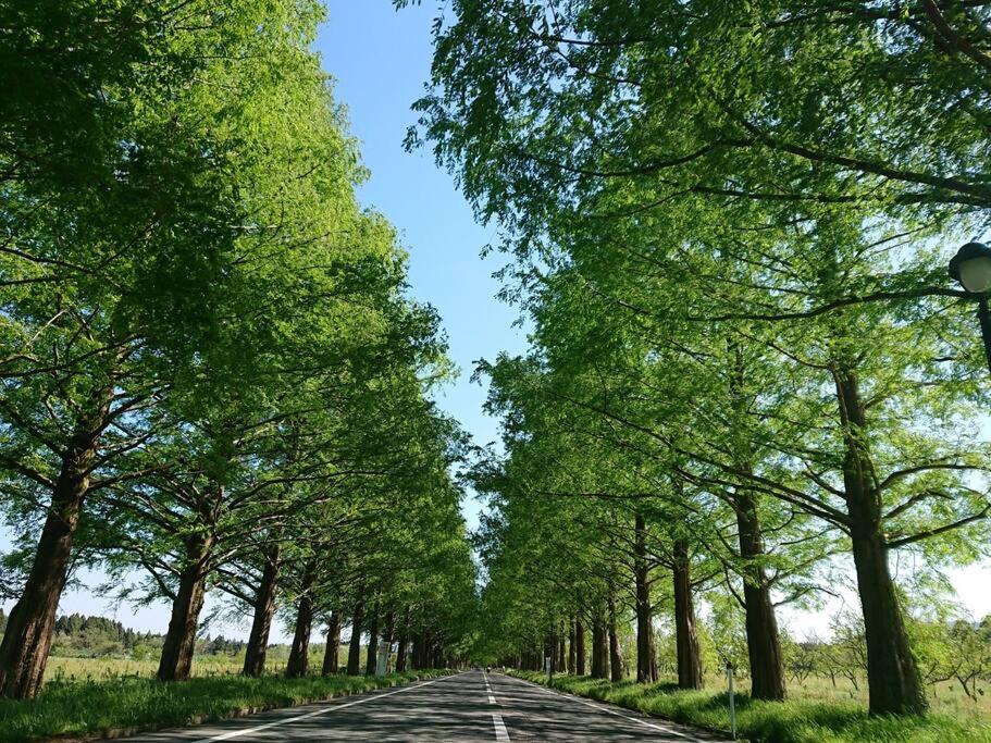 Shiga-Takasima Keshiki-no-Oyado Metasequoia Forest SimpleRoom-PLAN view 5