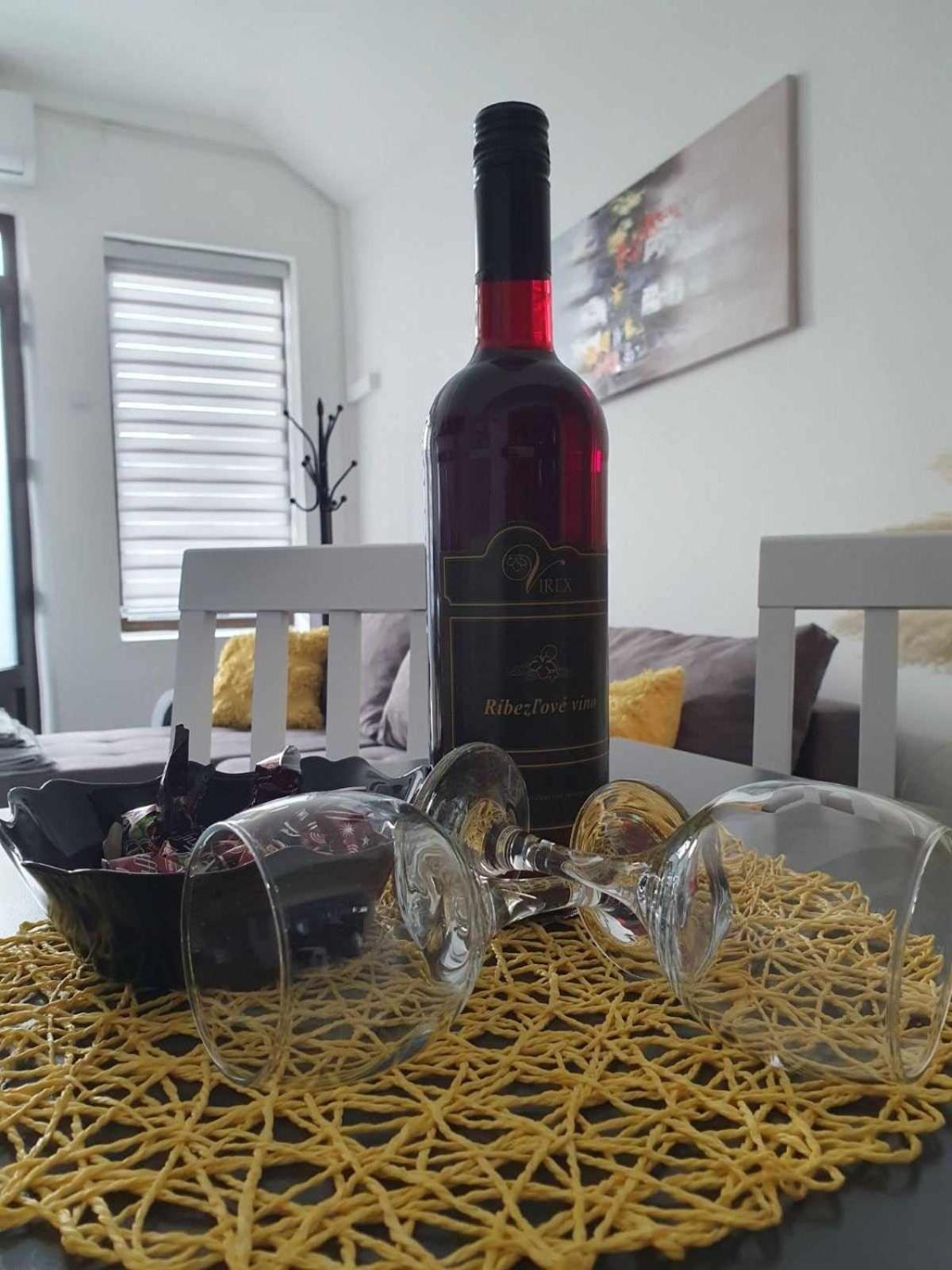Apartman Djokic 3 view 2
