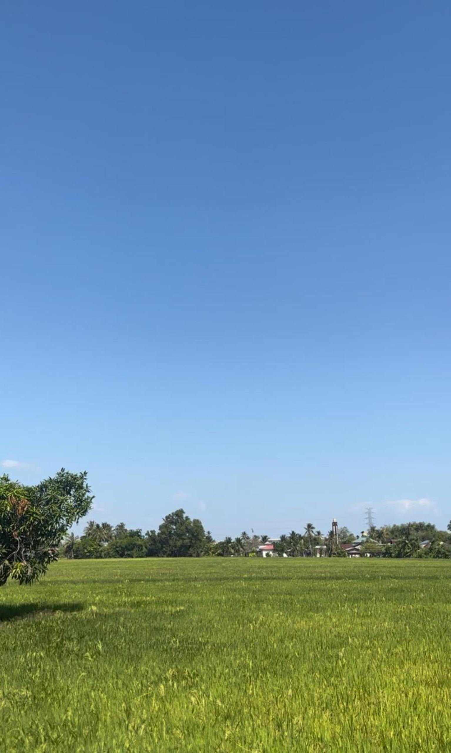 Sunrise Homestay photo 6