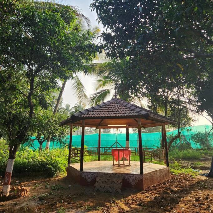 Farm Villa in Bangalore, Private Pool, Entire Property