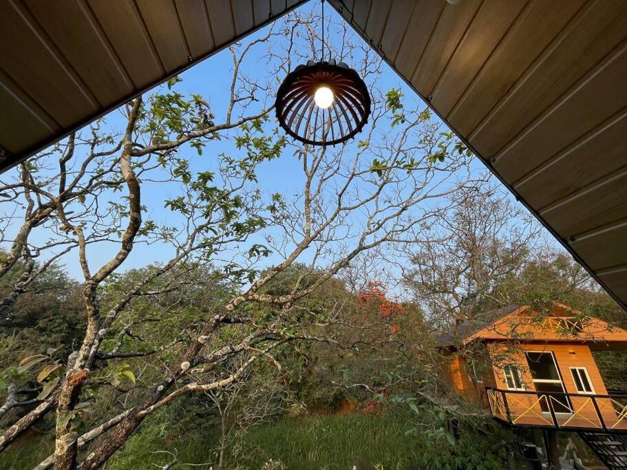 Farm Villa in Bangalore, Private Pool, Entire Property