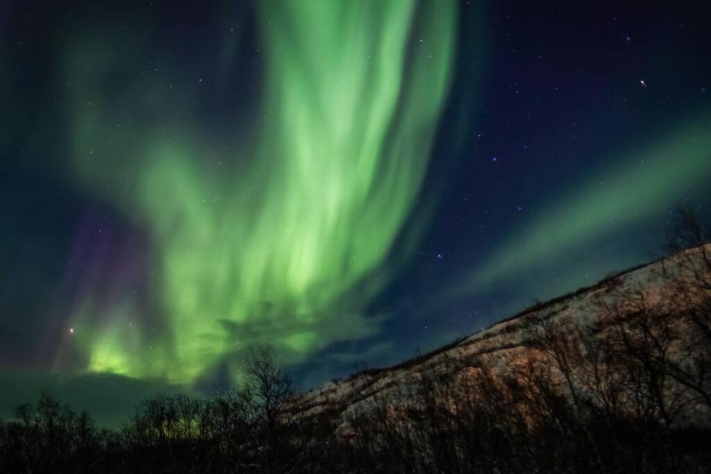 Buolbmát Aurora lodge