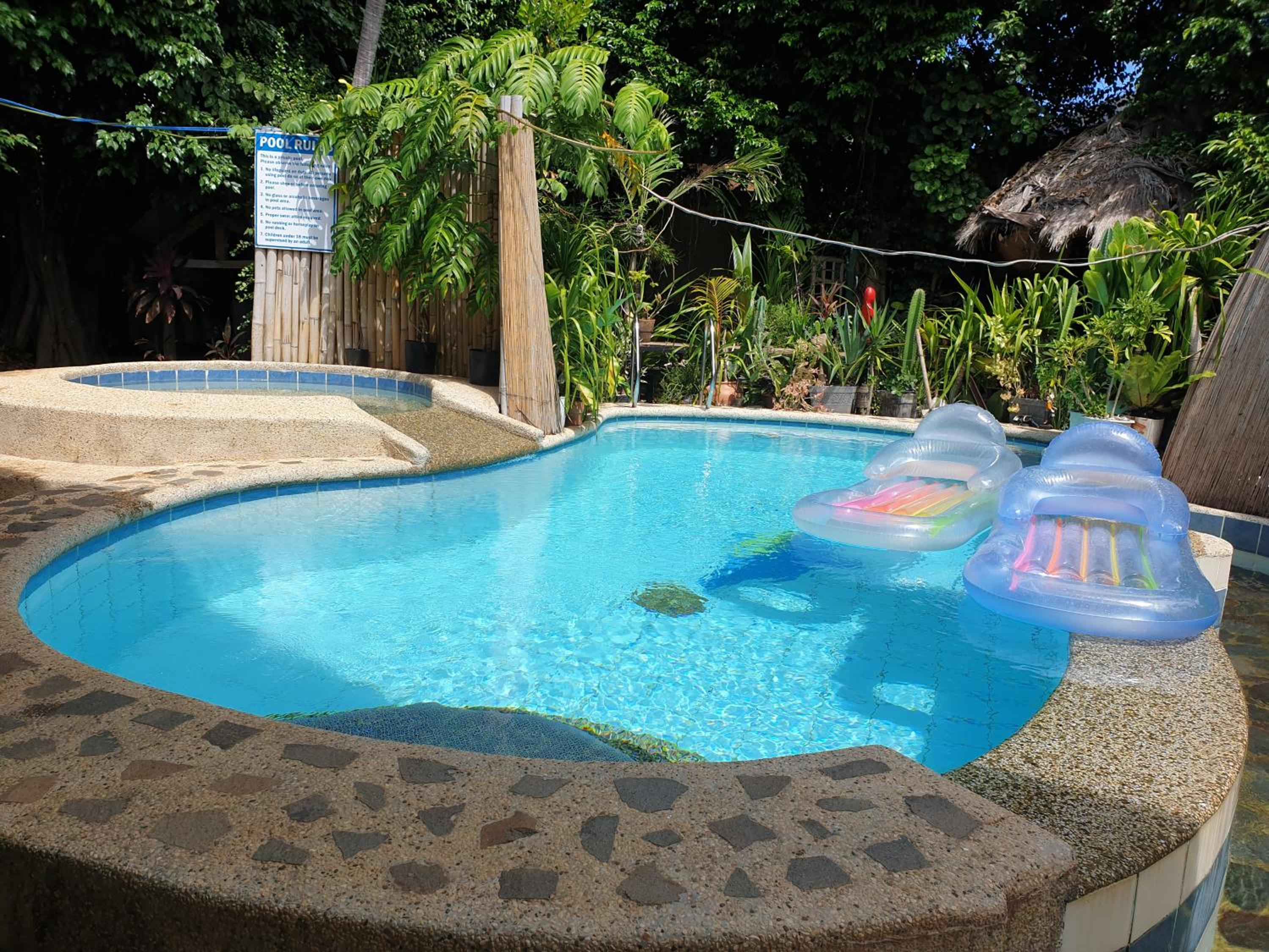 Alf's Guesthouse, Panglao - 9