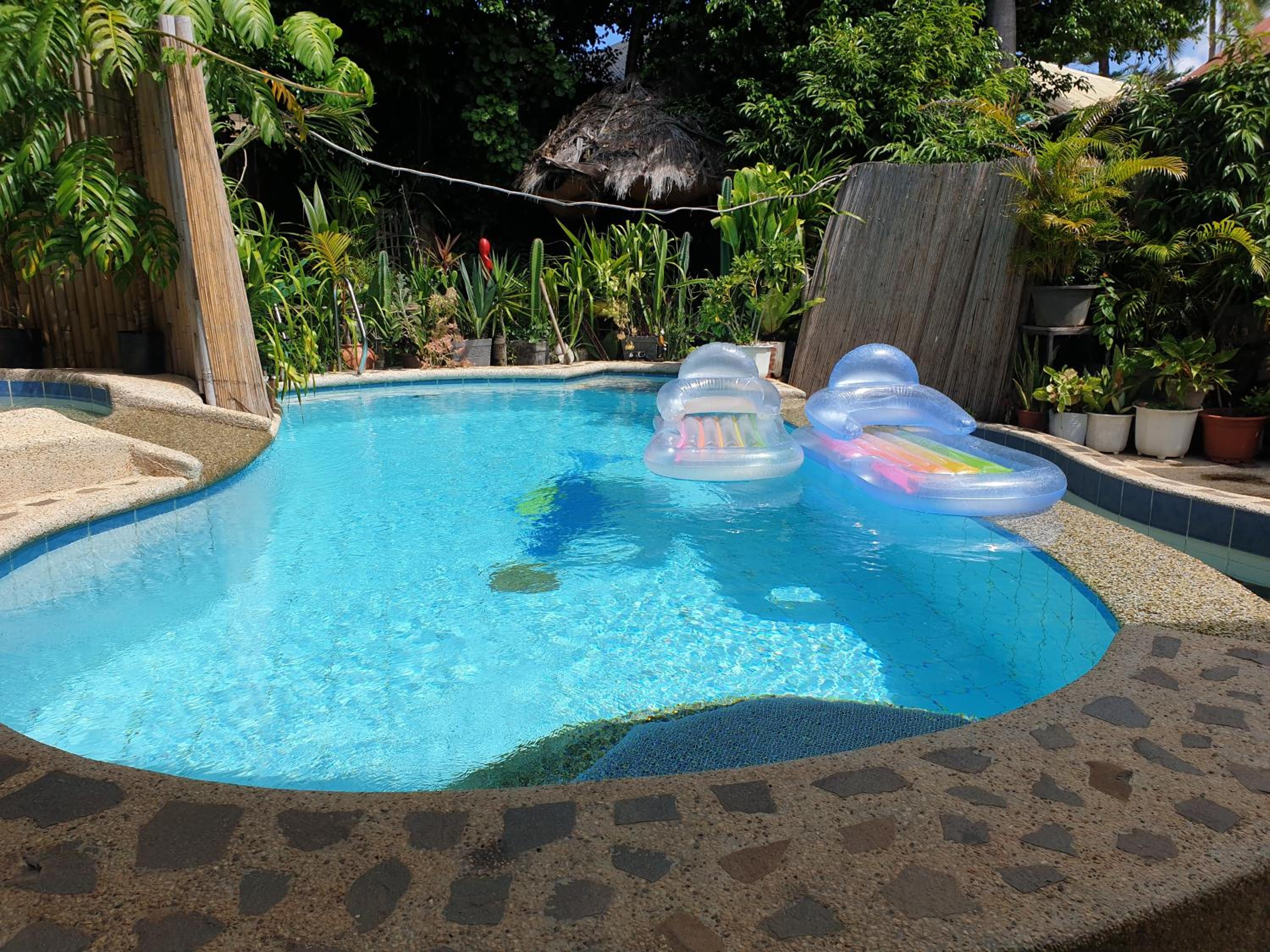 Alf's Guesthouse, Panglao - 13