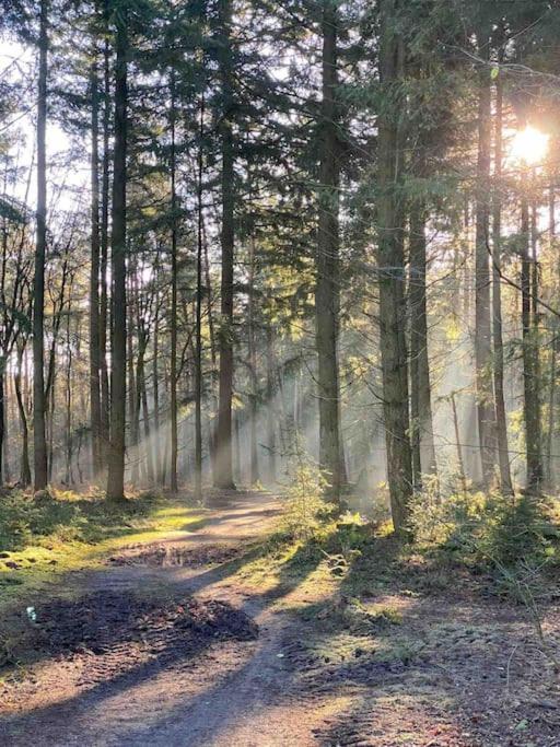 Veluwe cottage close to forest & wellness