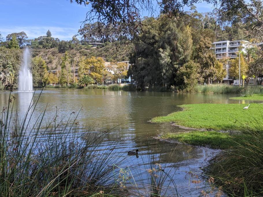 City & lakeside with free secure allocated parking, pool, gym & tennis court, only 15 mins walk into the City