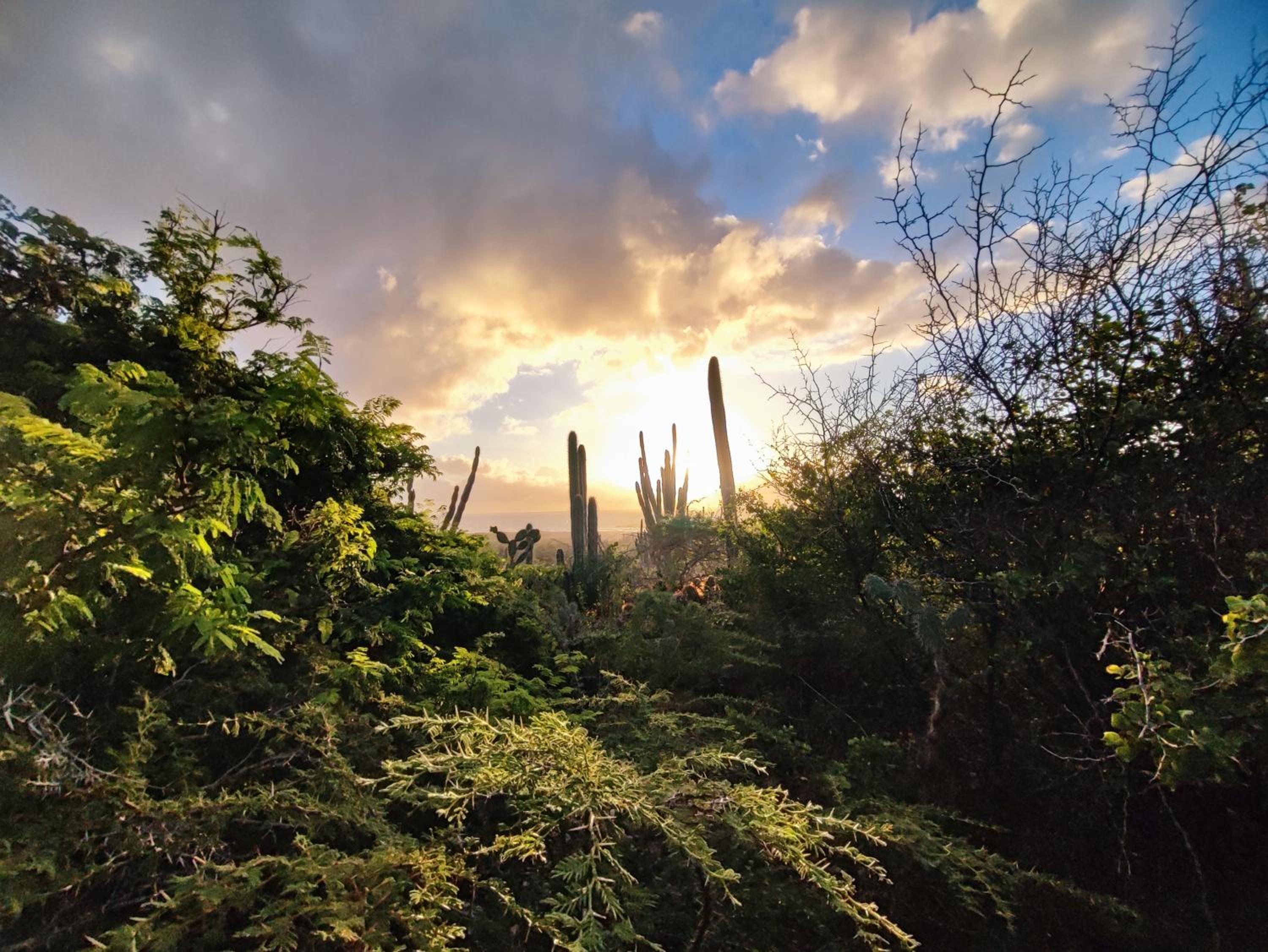 Saint Joris a tiny Boutique Resort
