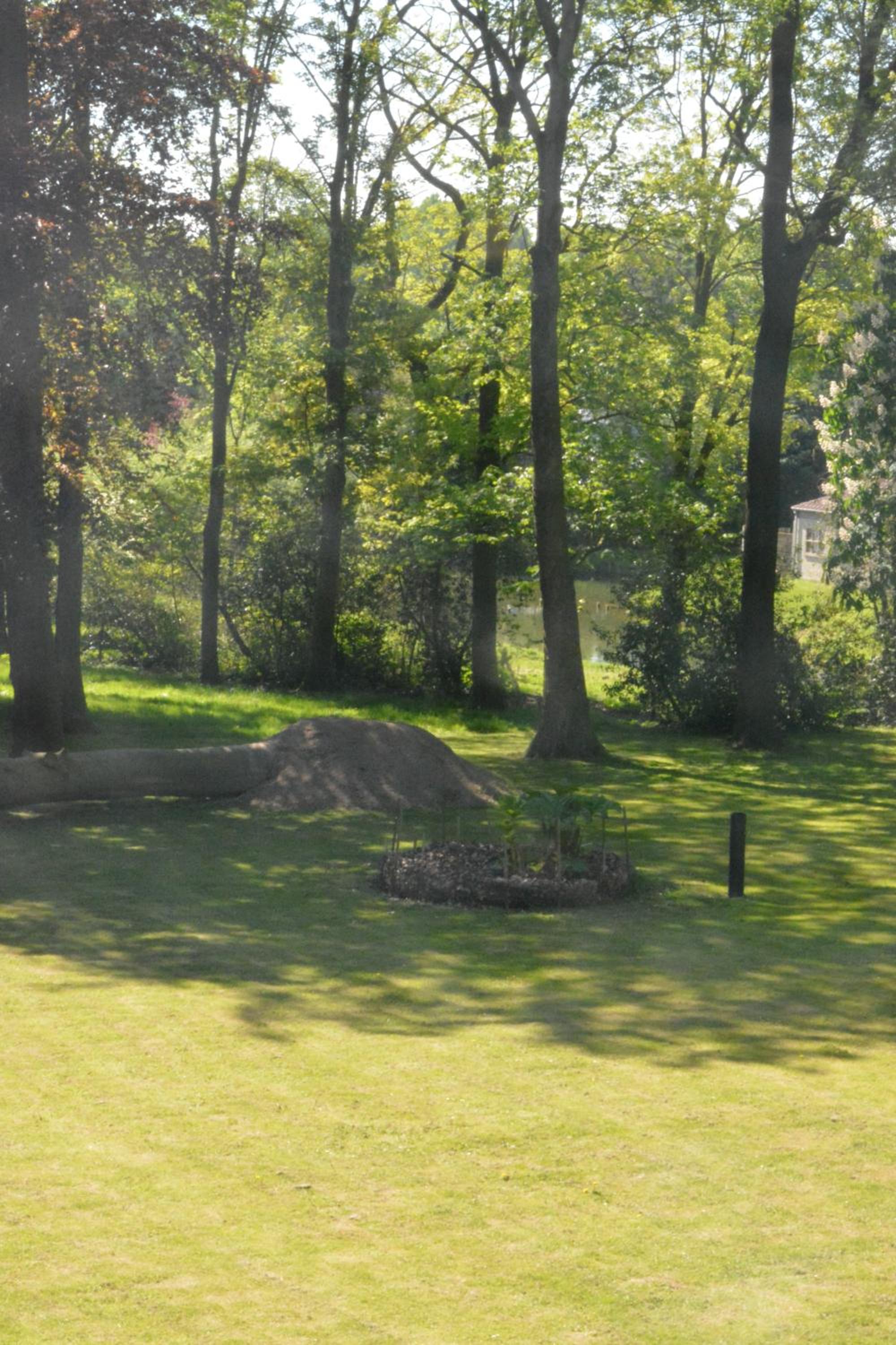 B & B Landhuis Ter Velt