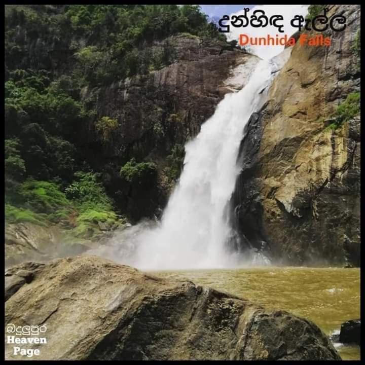 Photo 38