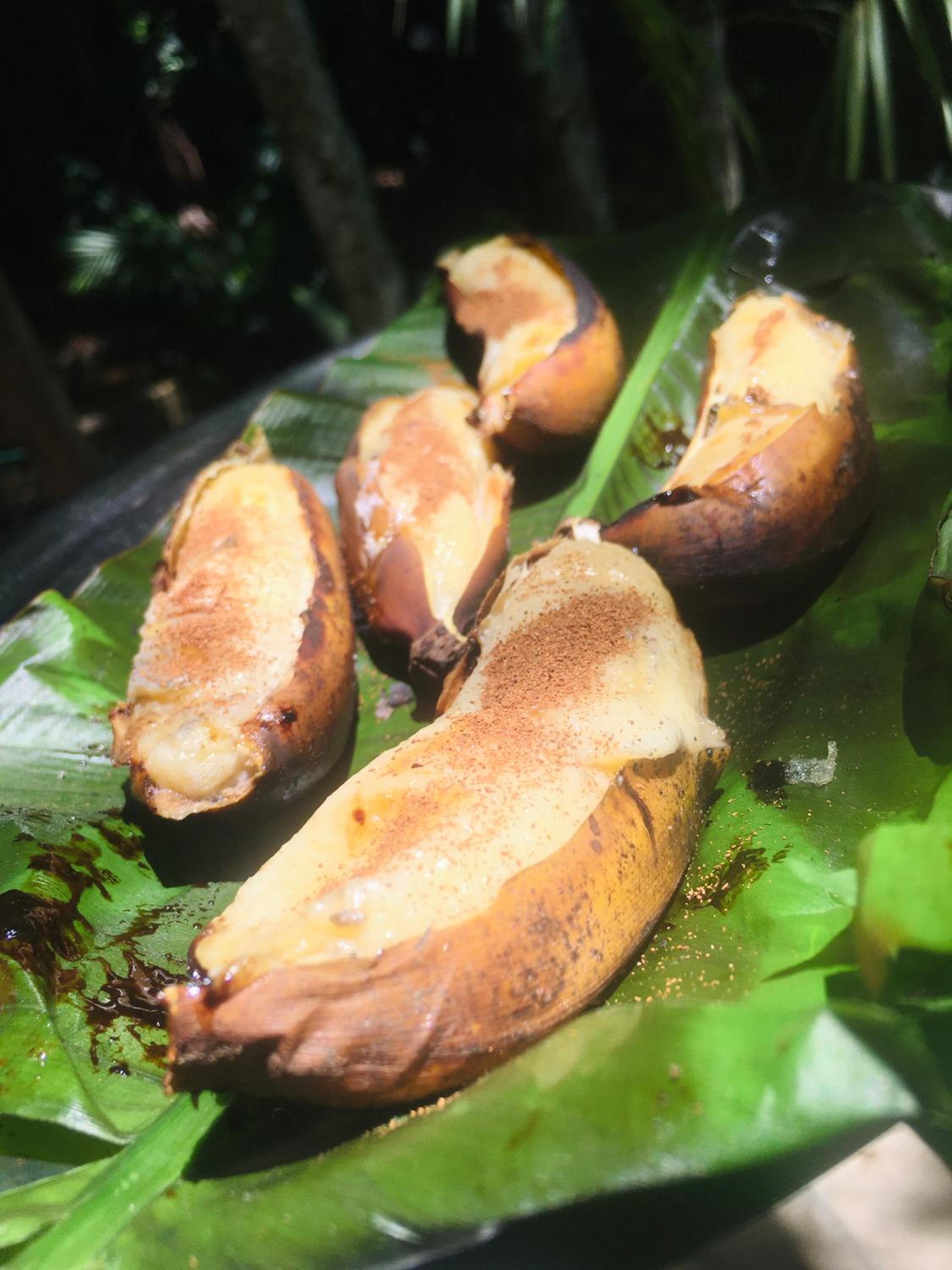 Rancho Caiçara