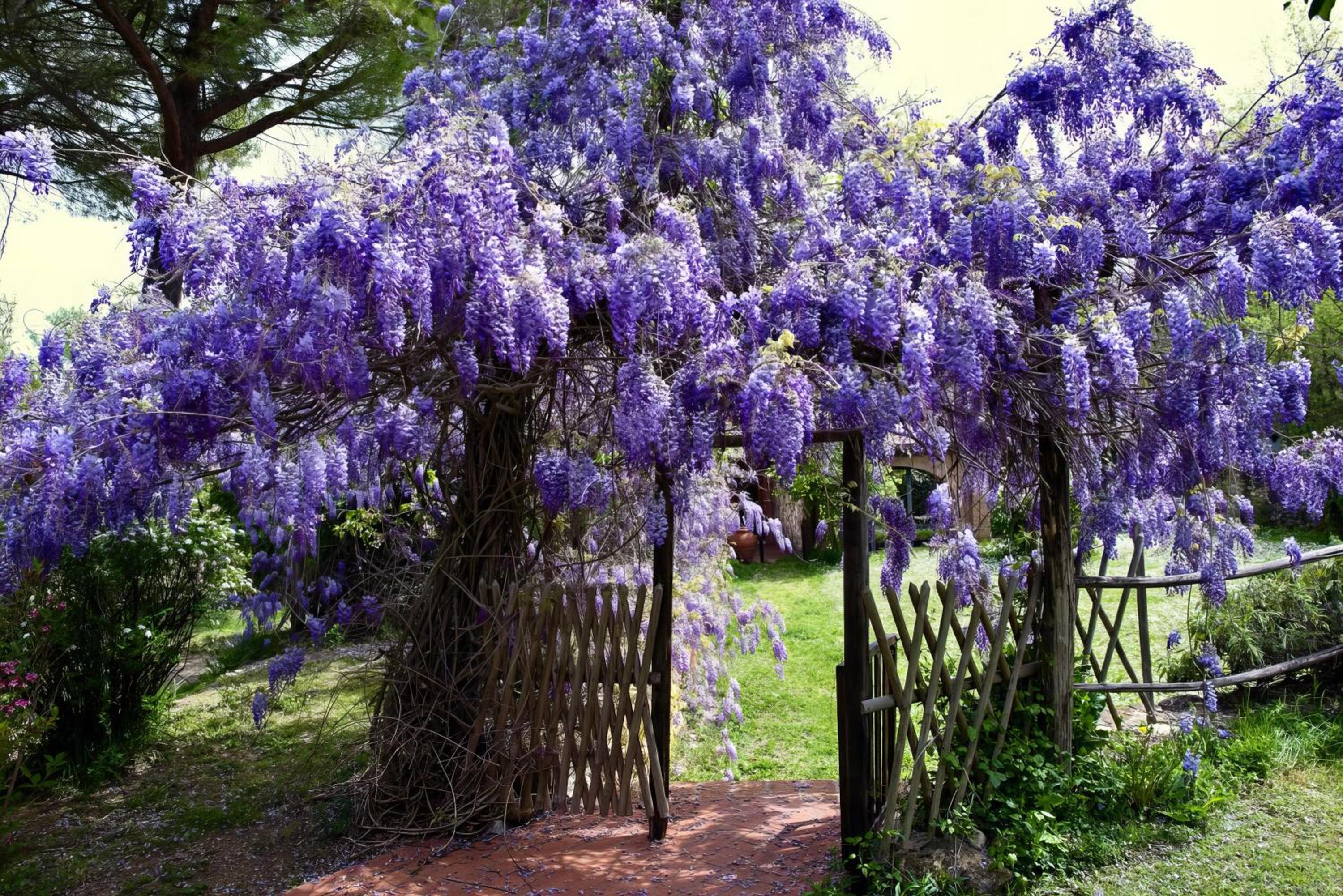 Molino in chianti