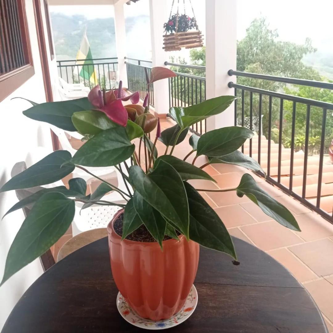 Cabaña Villa Esperanza