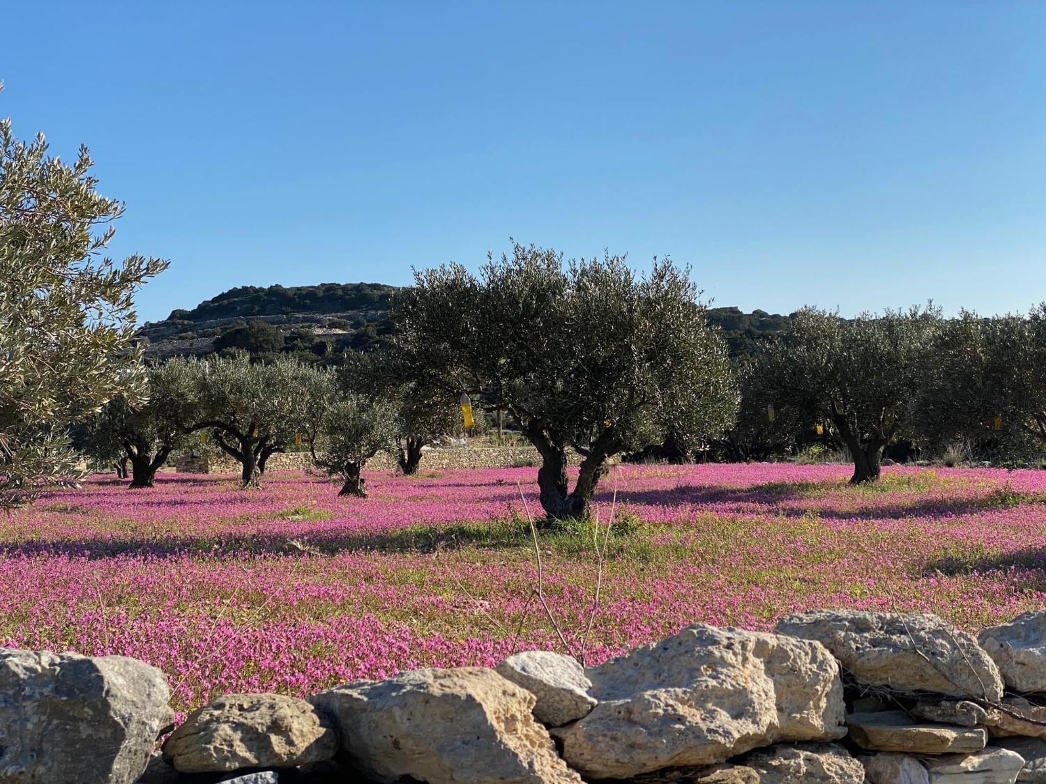 VILLA ALYKI SEA VIEW PAROS
