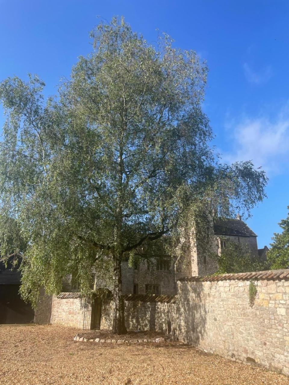 Gardener's Cottage at Mathern Palace view 3