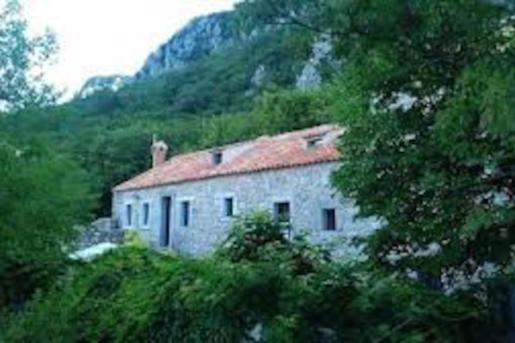 Authentic Stone House Tranquil Villa for Families and Groups