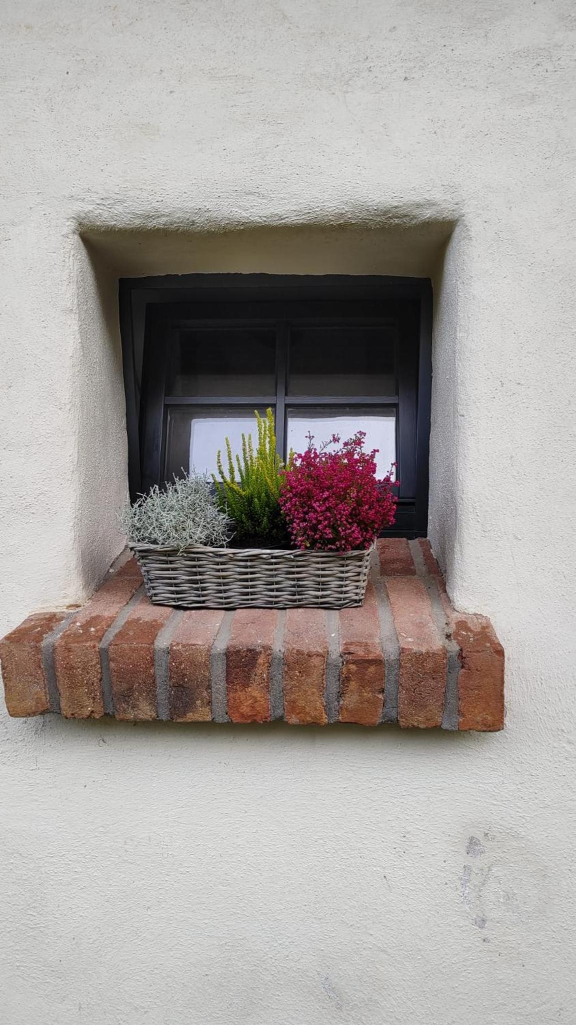 Cihelna Hříběcí