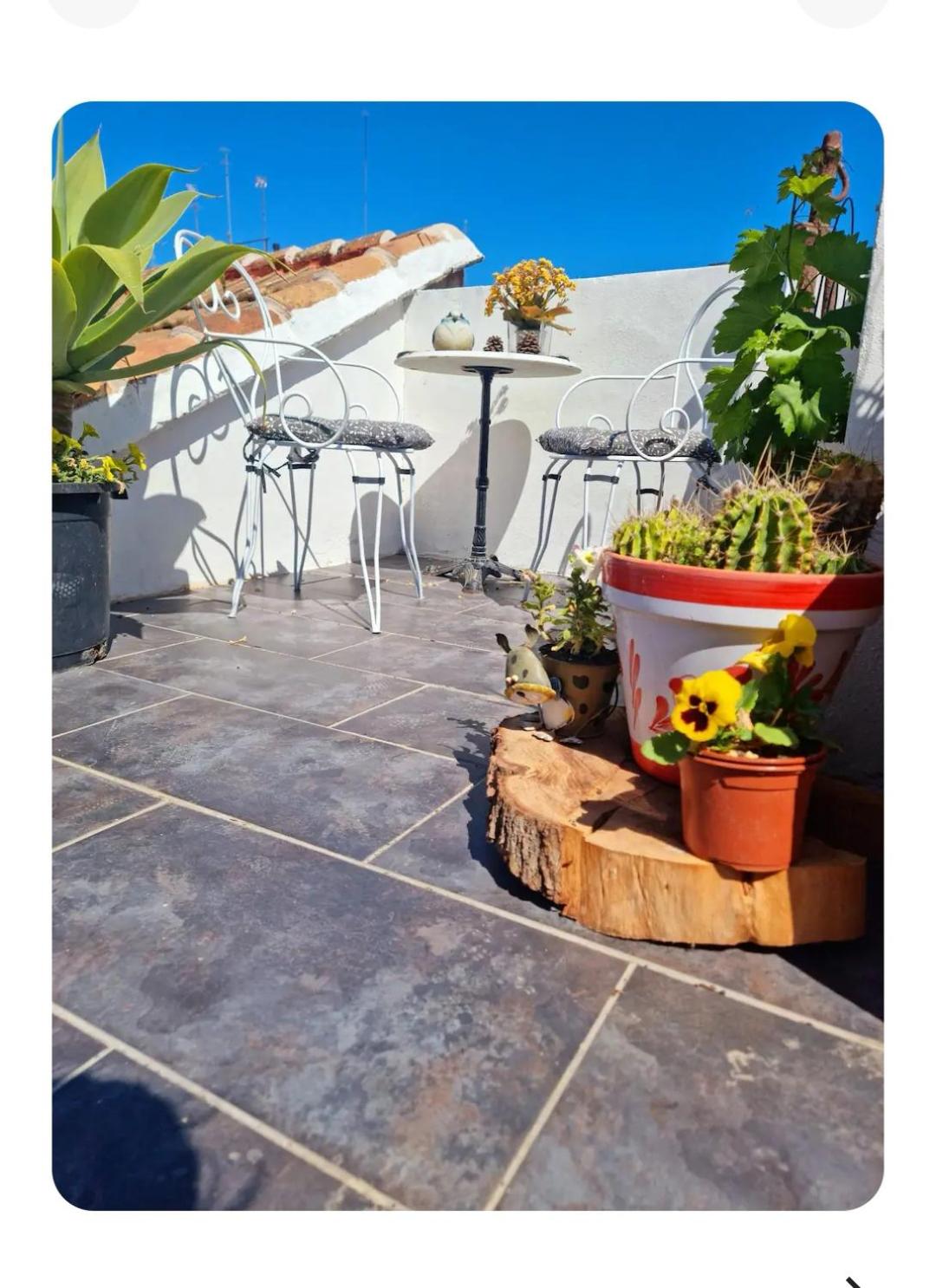 Oasis de Valencia