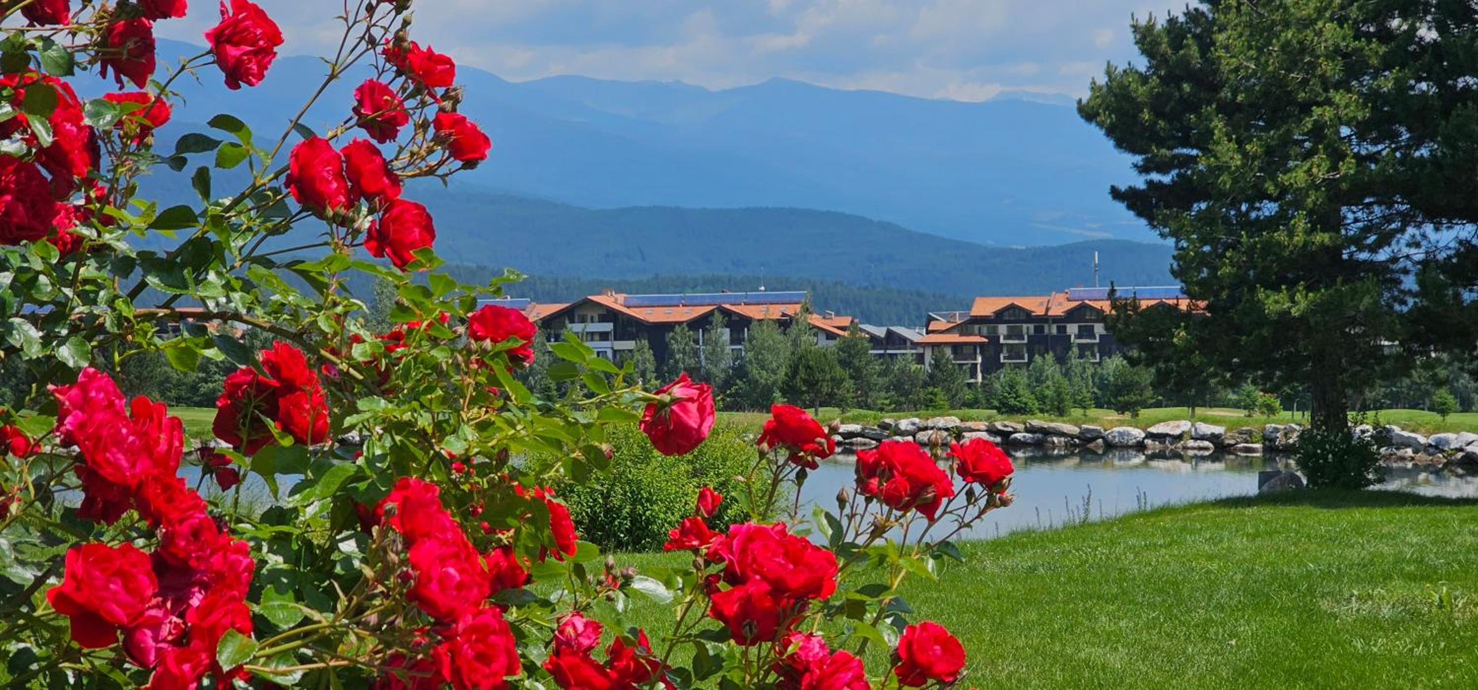Green Peaks Suite in Pirin Golf & County Club