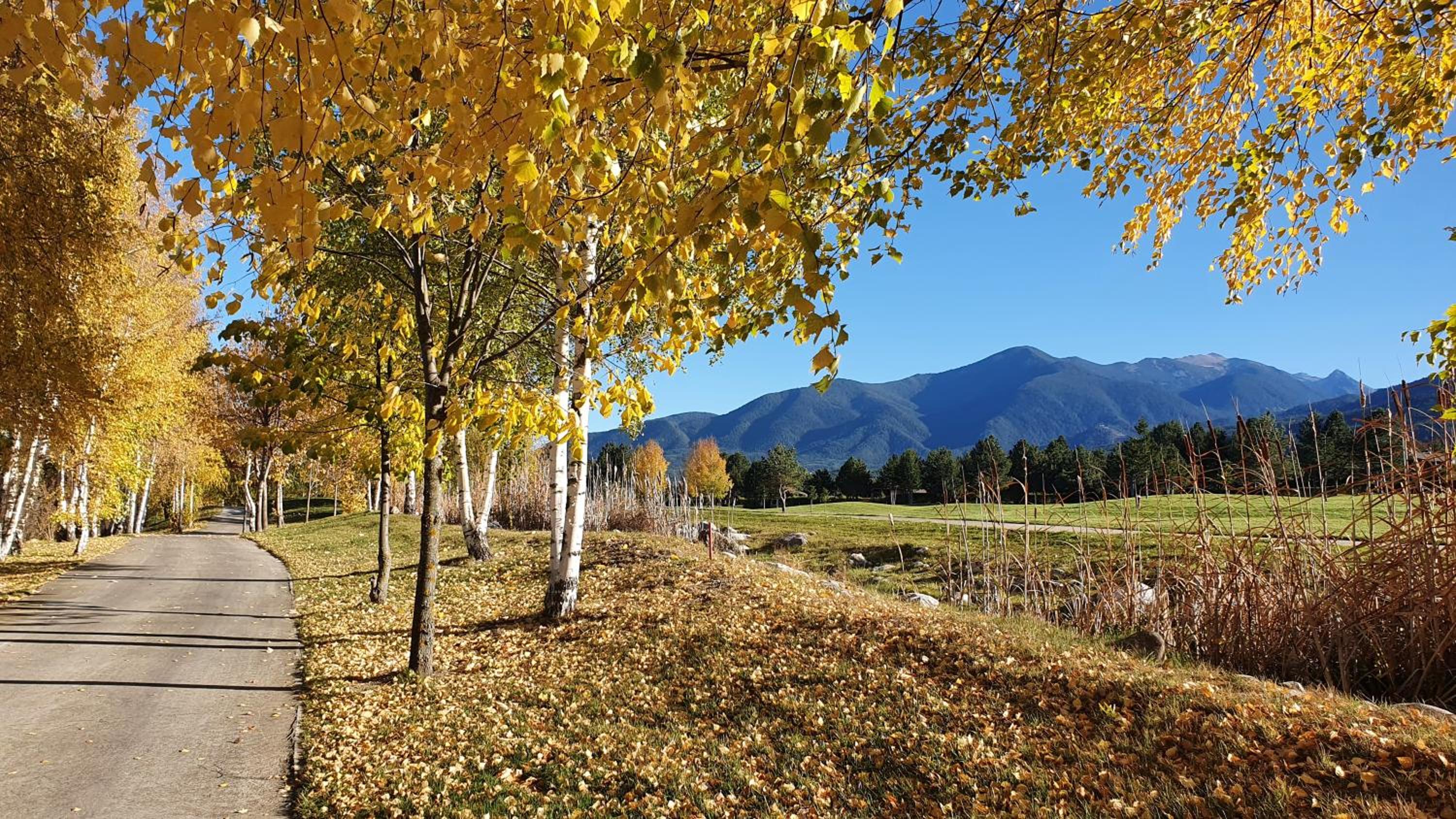 Green Peaks Suite in Pirin Golf & County Club