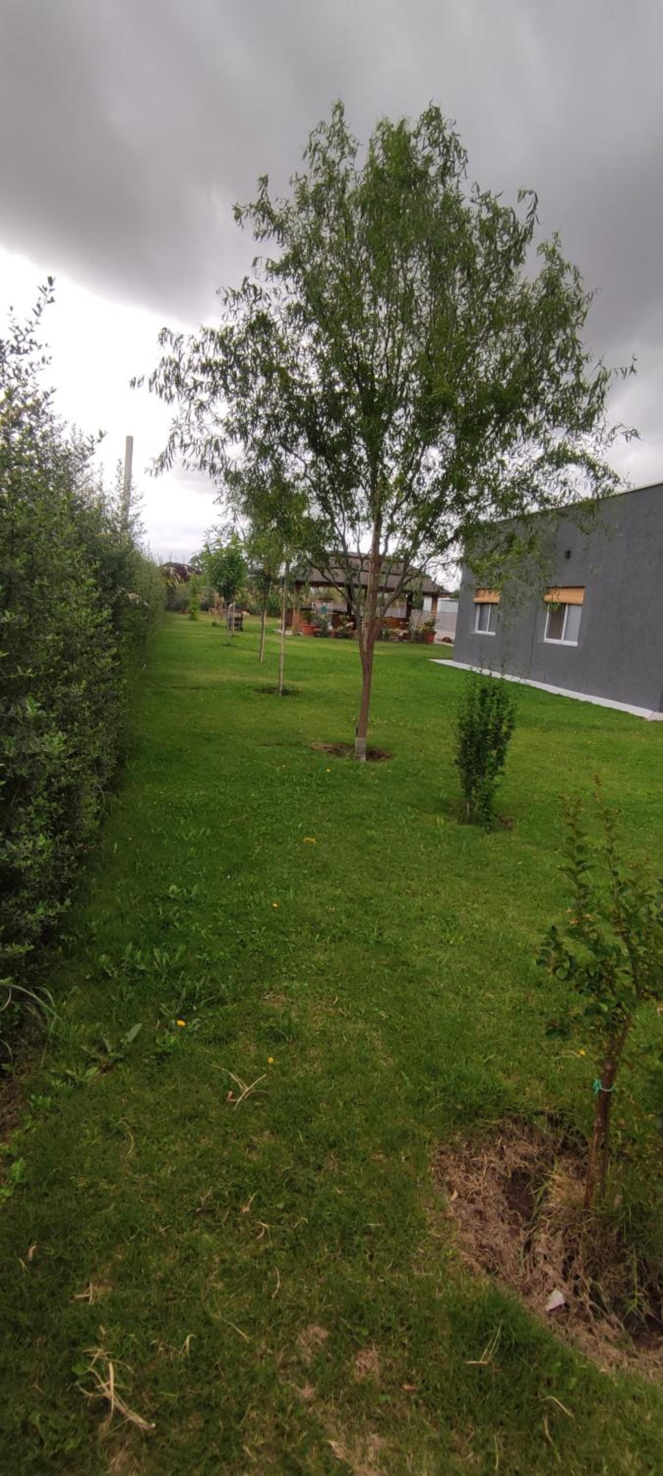 Cabañas Roble Malbec