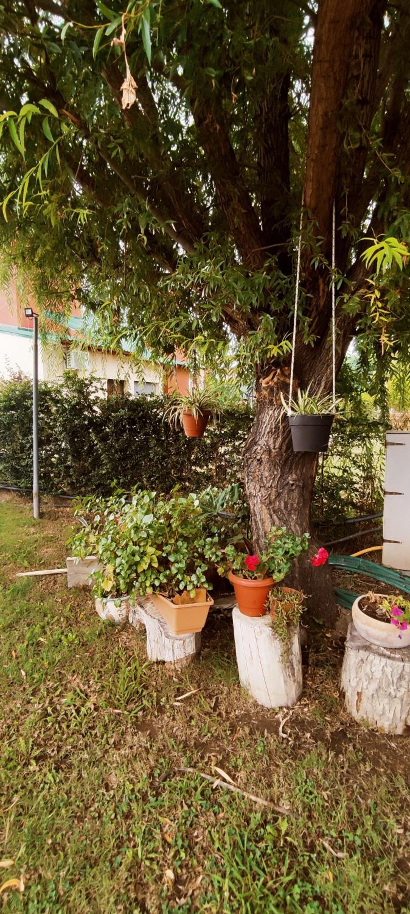 Cabañas Roble Malbec
