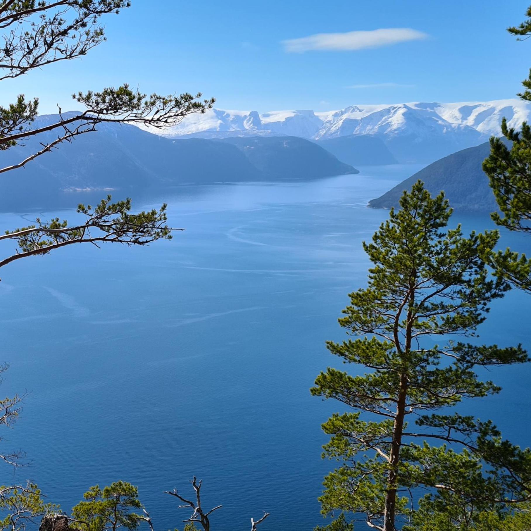 Moderne cityleilighet Sogndal