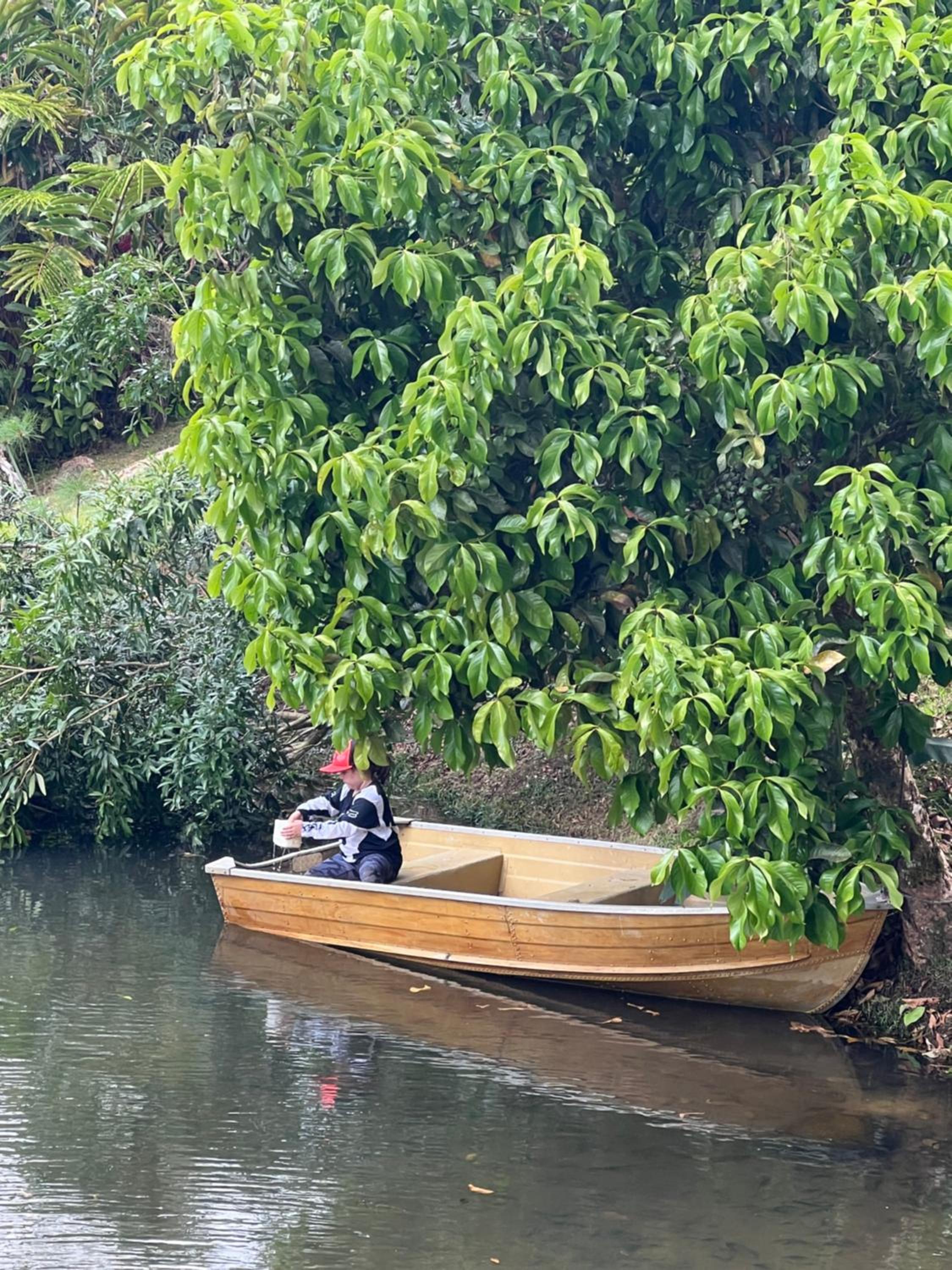 Rinconcito de Paz, Cedral, Pérez Zeledón