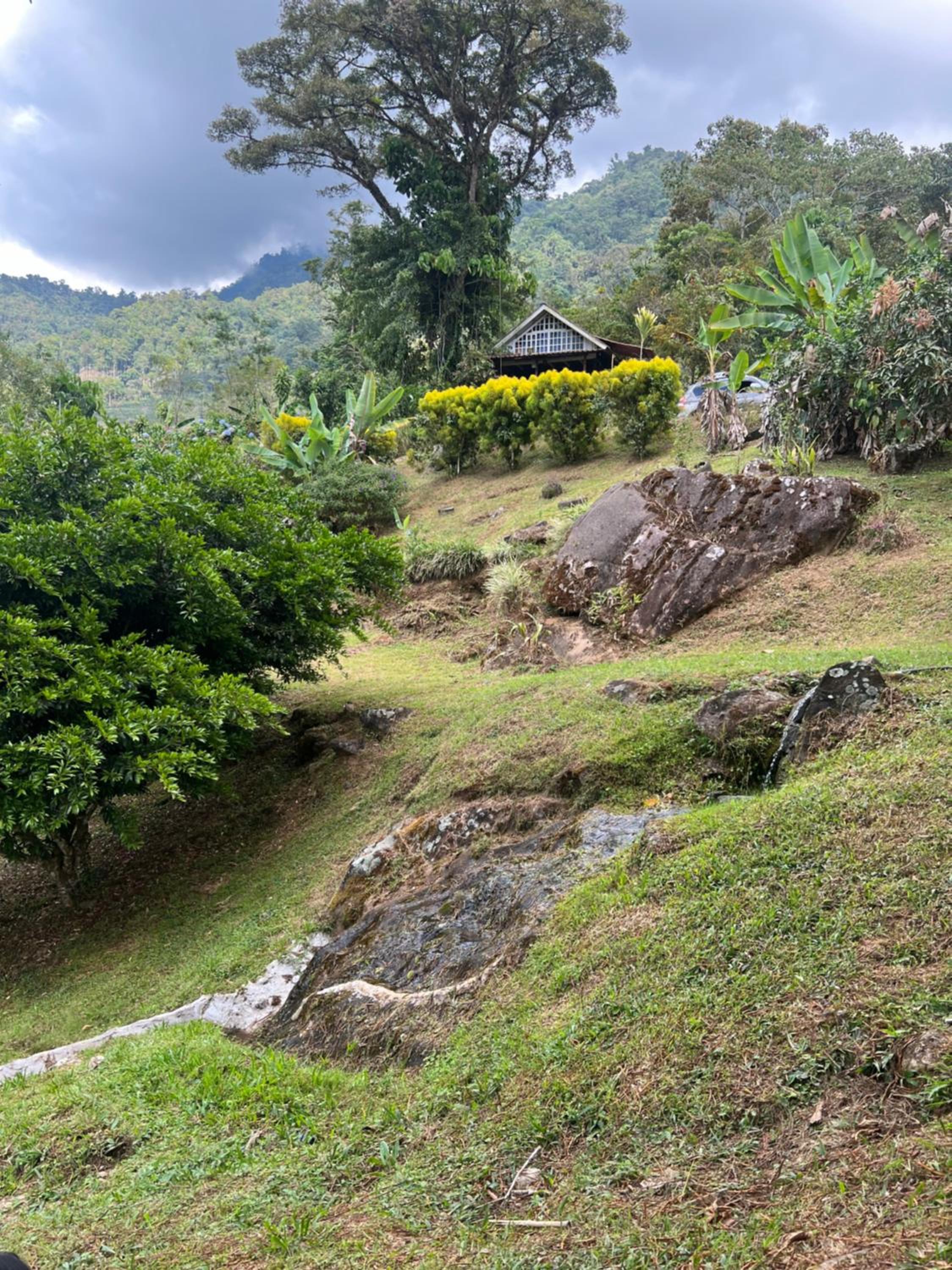 Rinconcito de Paz, Cedral, Pérez Zeledón