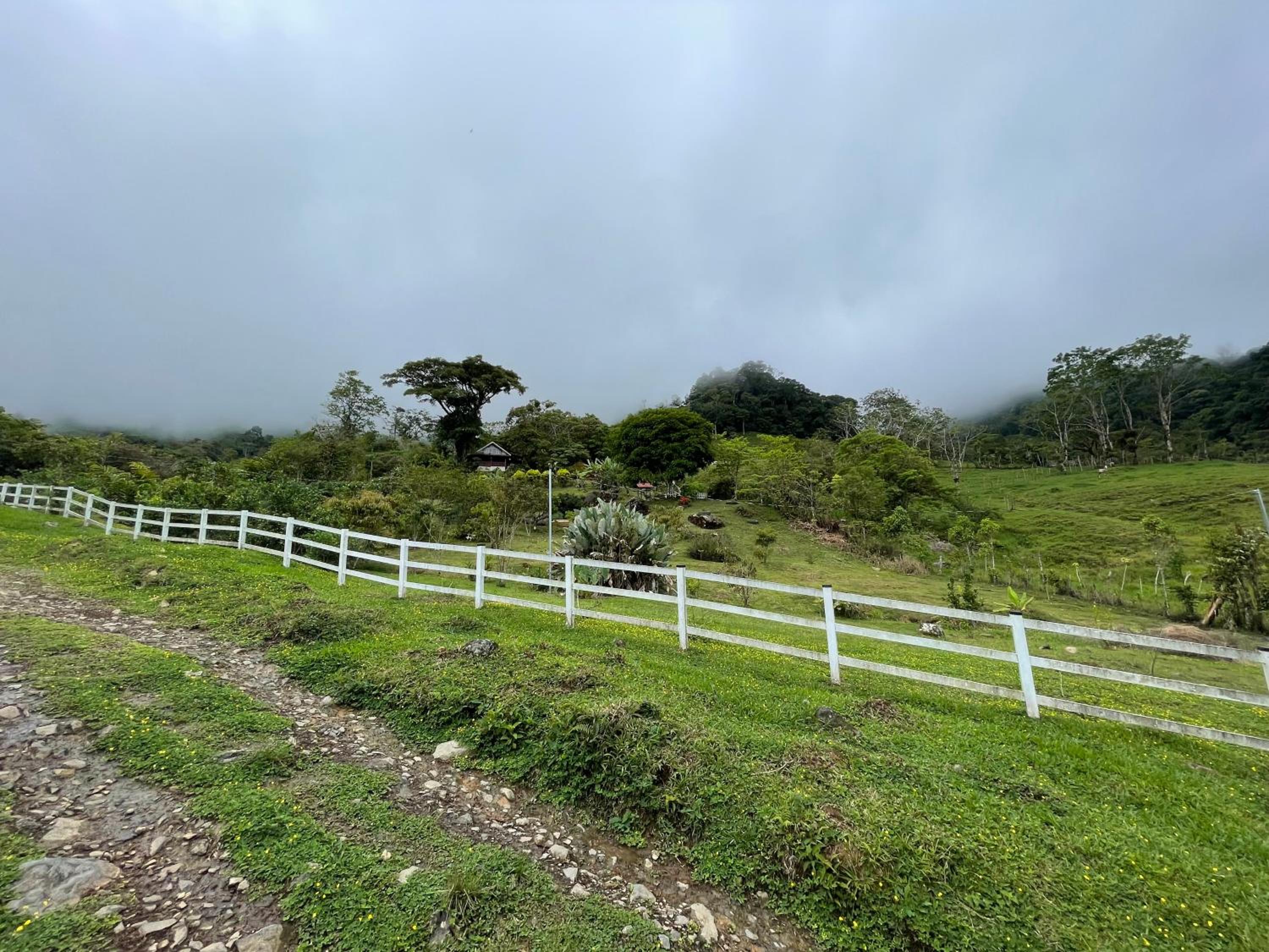 Rinconcito de Paz, Cedral, Pérez Zeledón