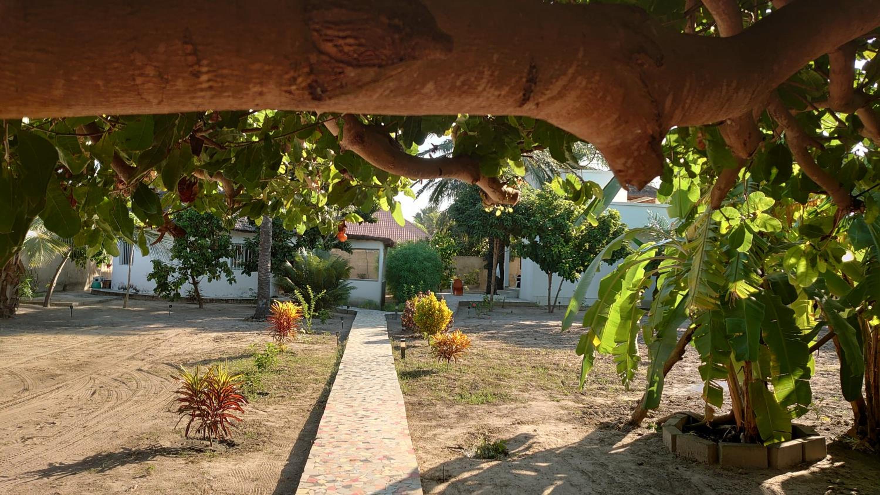 Photo 15