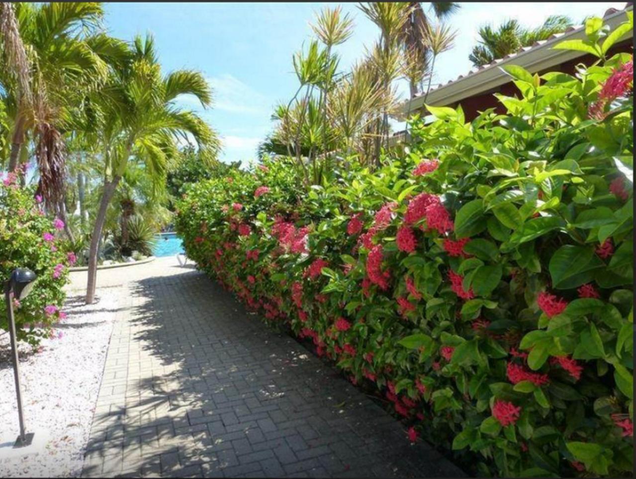 Vakantie appartement Seru Coral Resort Curaçao
