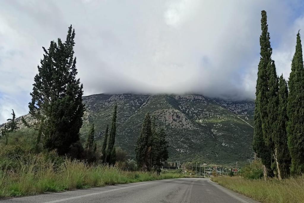 Photo 46
