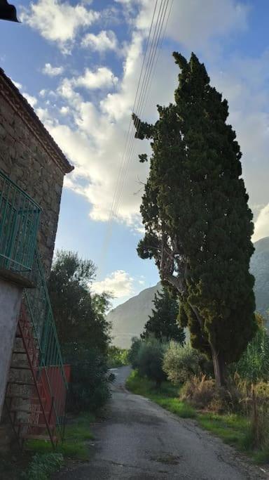 Photo 49