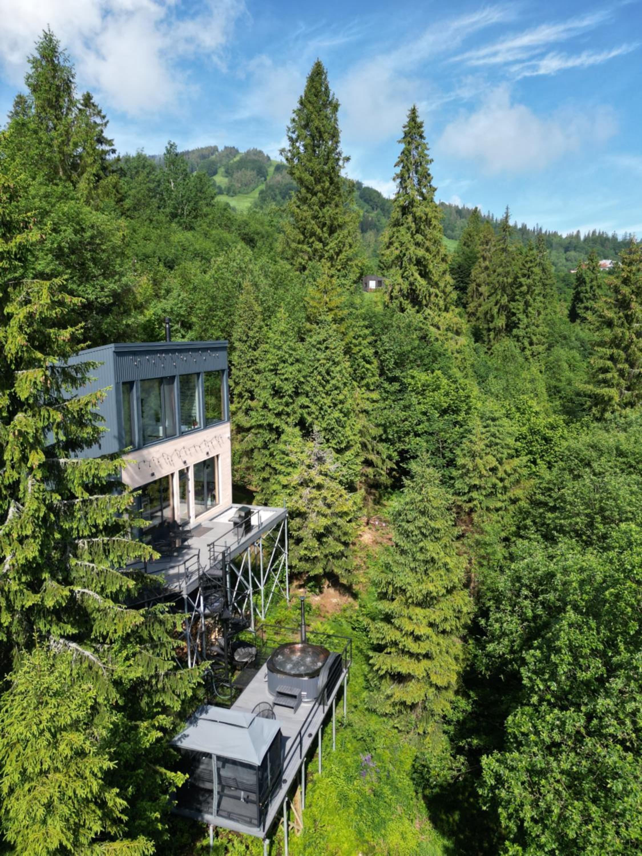 Forest Hub