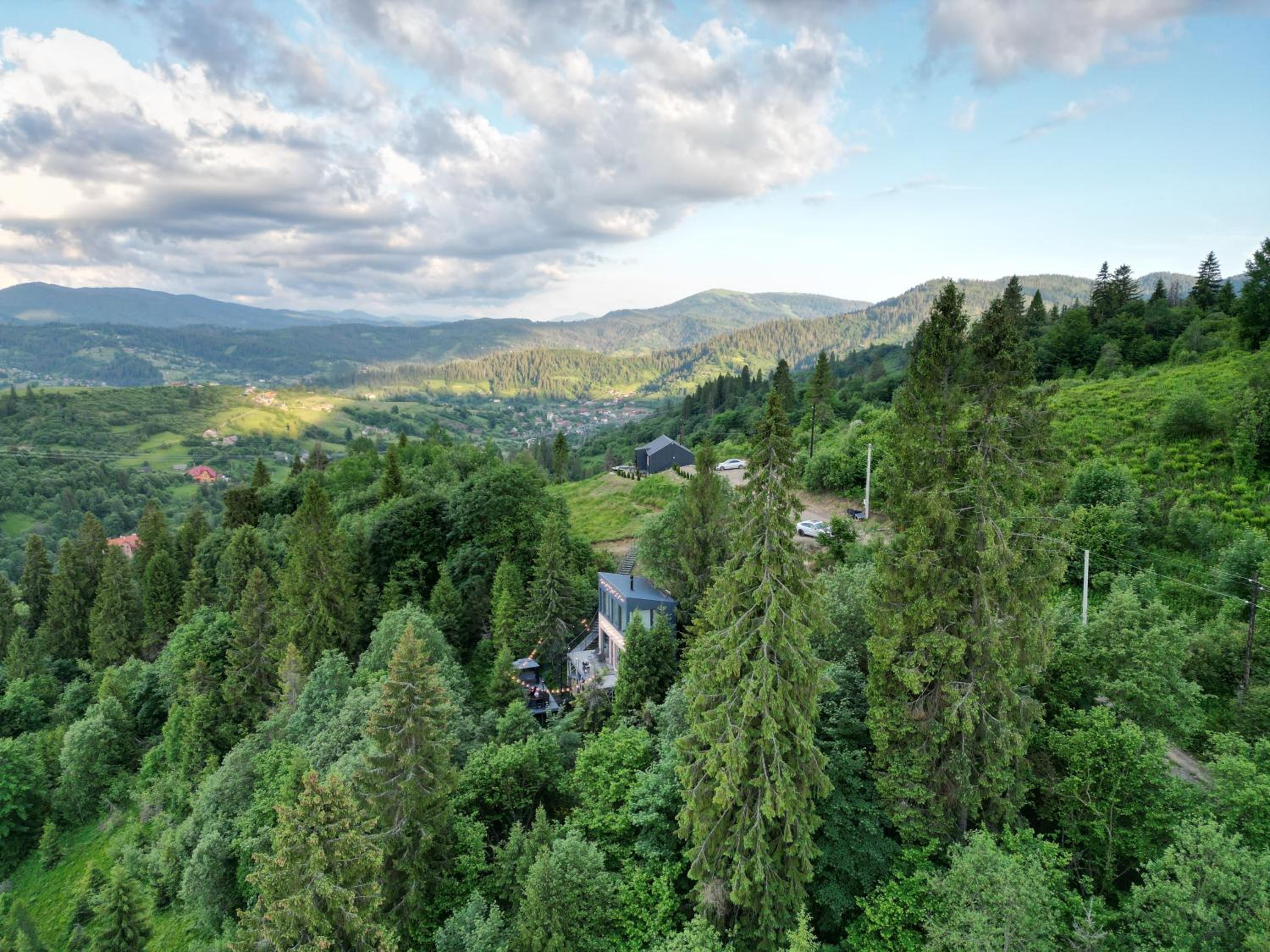 Forest Hub