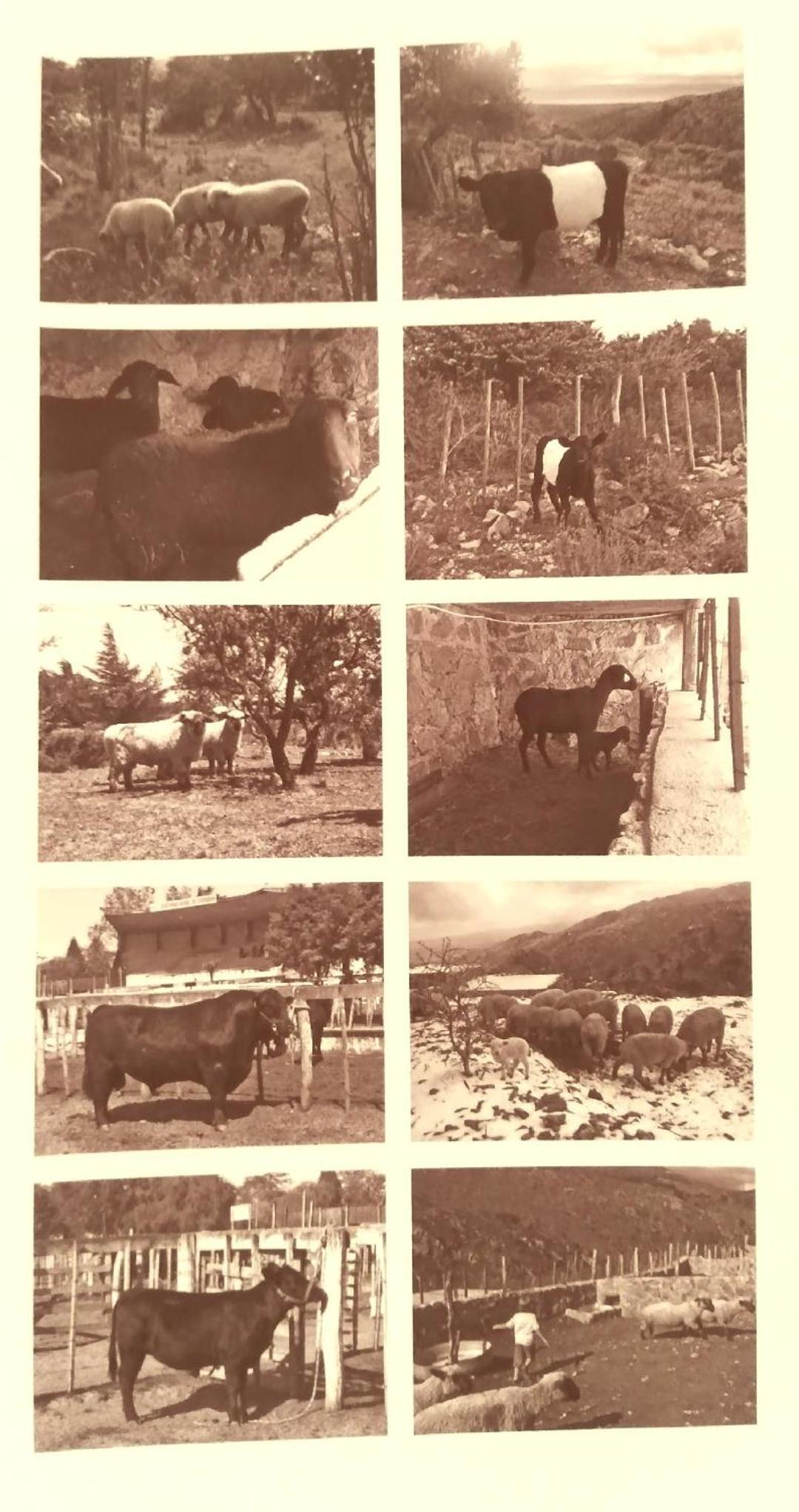 Establecimiento La Soleada suites de campo