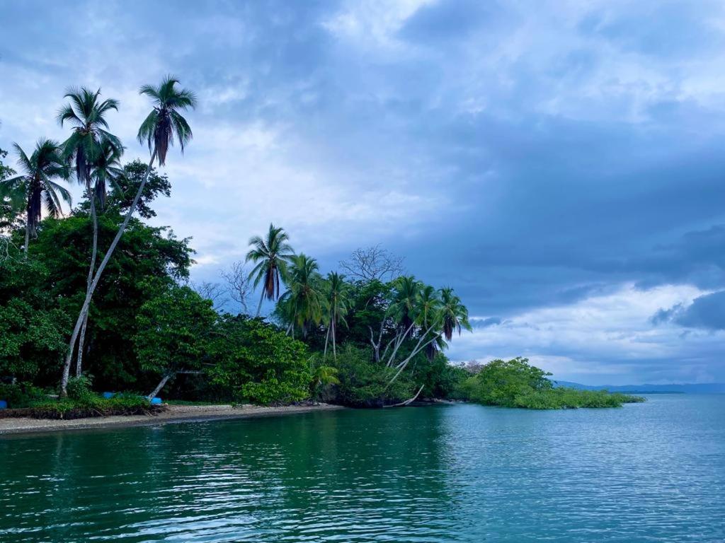 Casa Tropical Ceiba