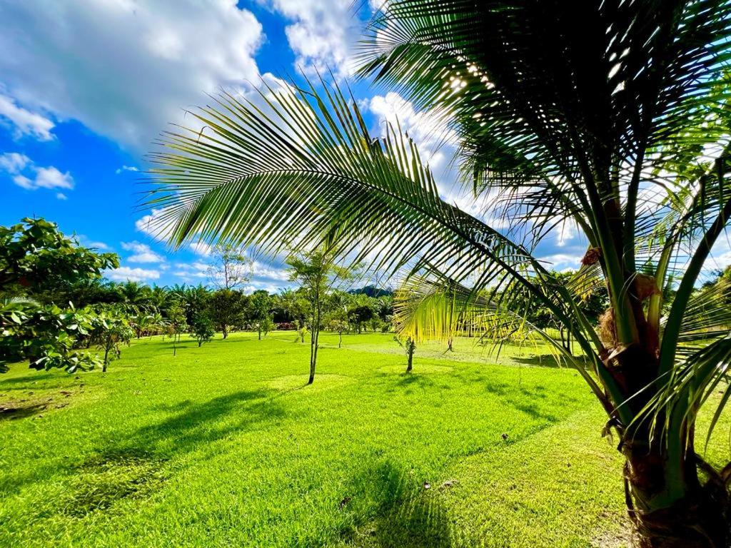 Casa Tropical Ceiba