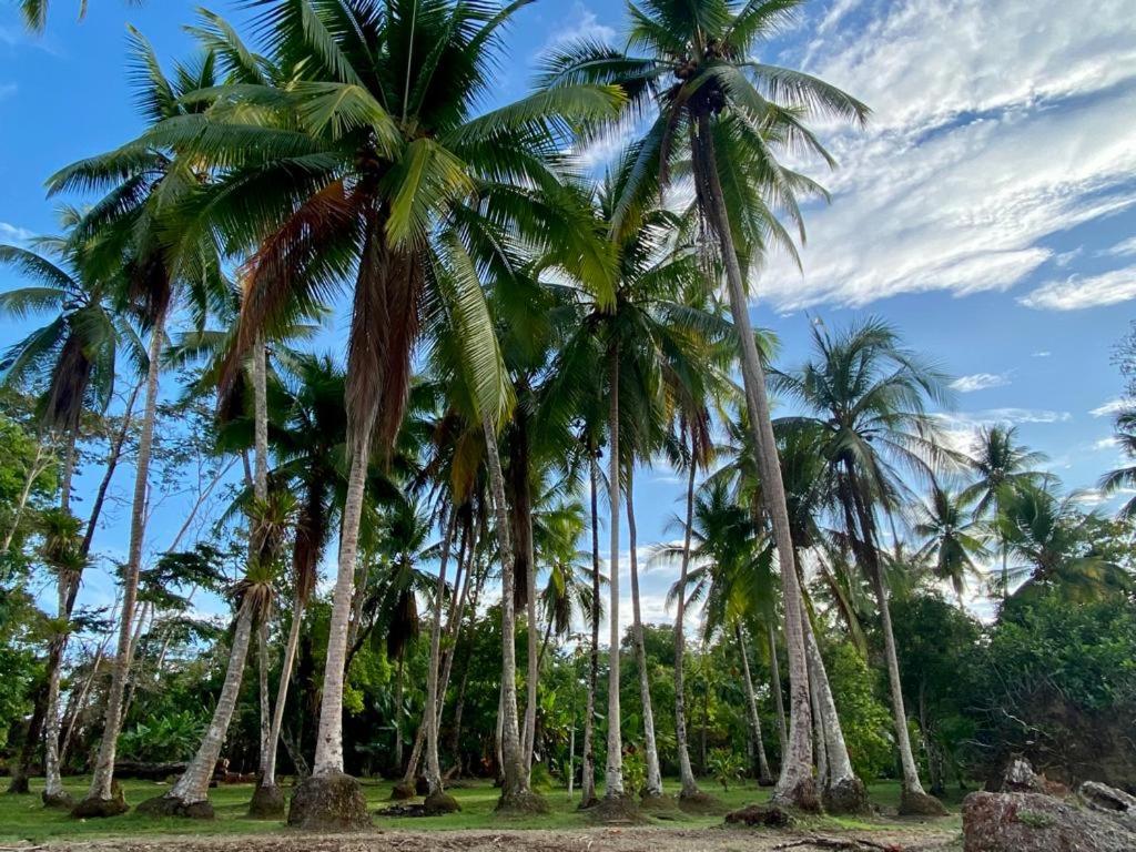 Casa Tropical Ceiba