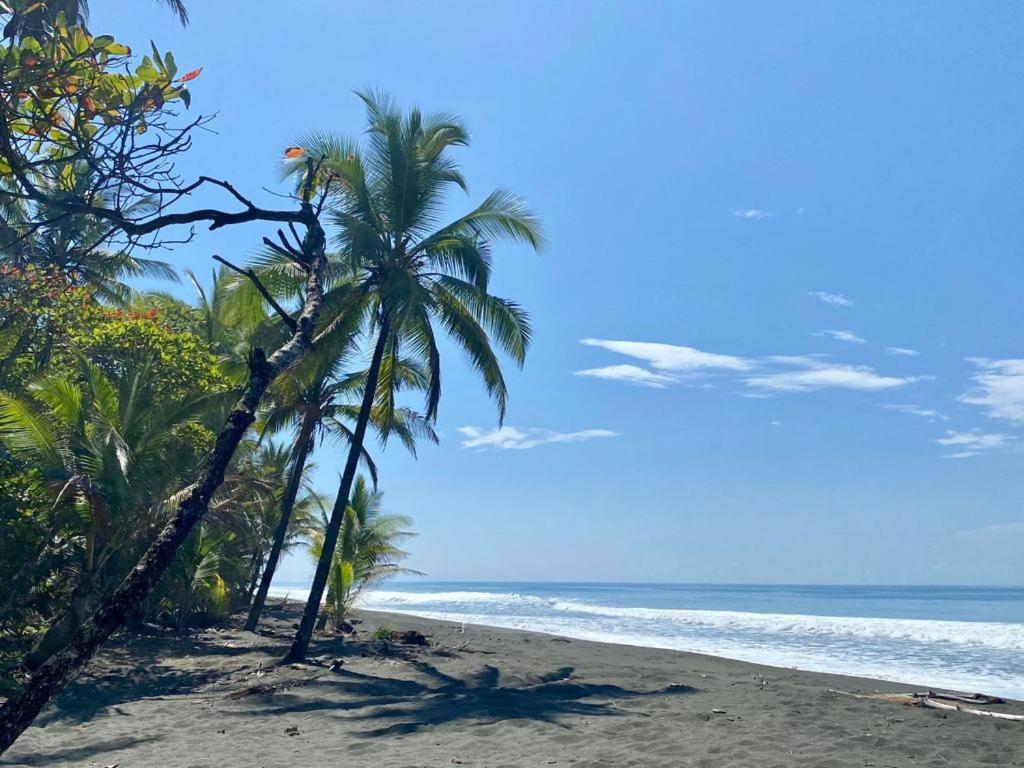 Casa Tropical Ceiba