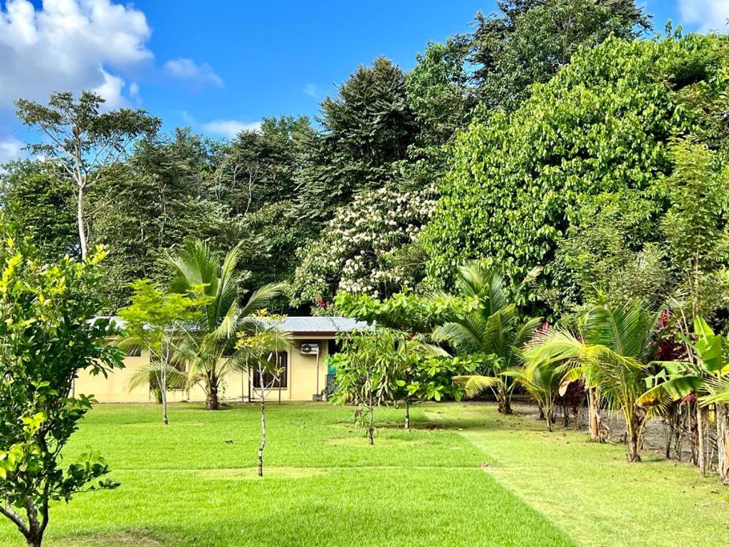 Casa Tropical Ceiba