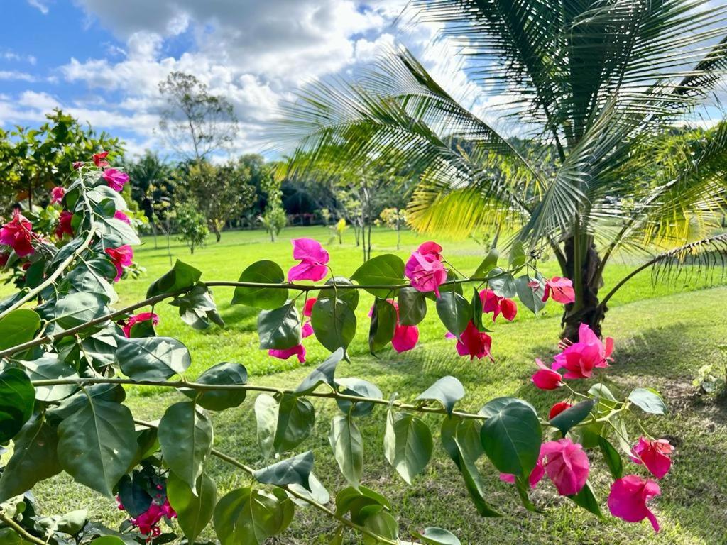 Casa Tropical Ceiba