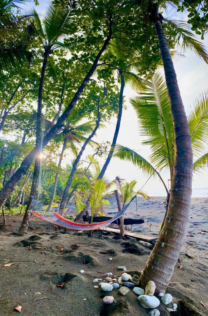 Casa Tropical Ceiba