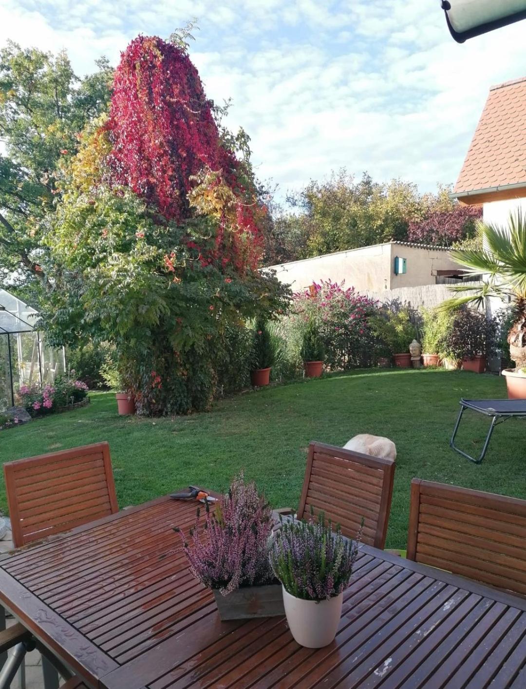 Ferienwohnung Vera