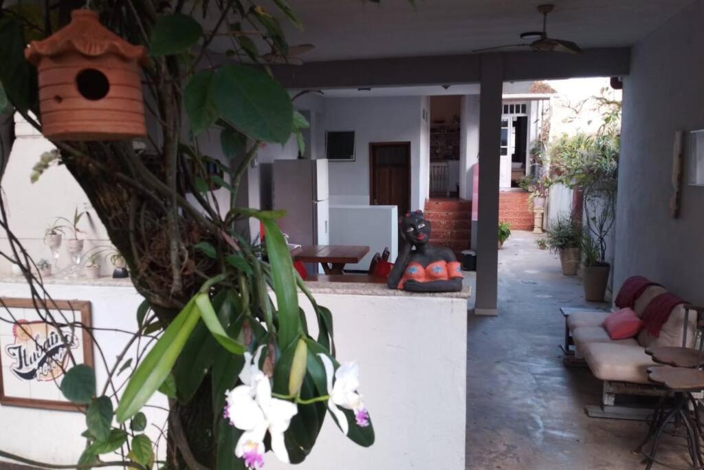 Muito espaço e natureza no meio da cidade