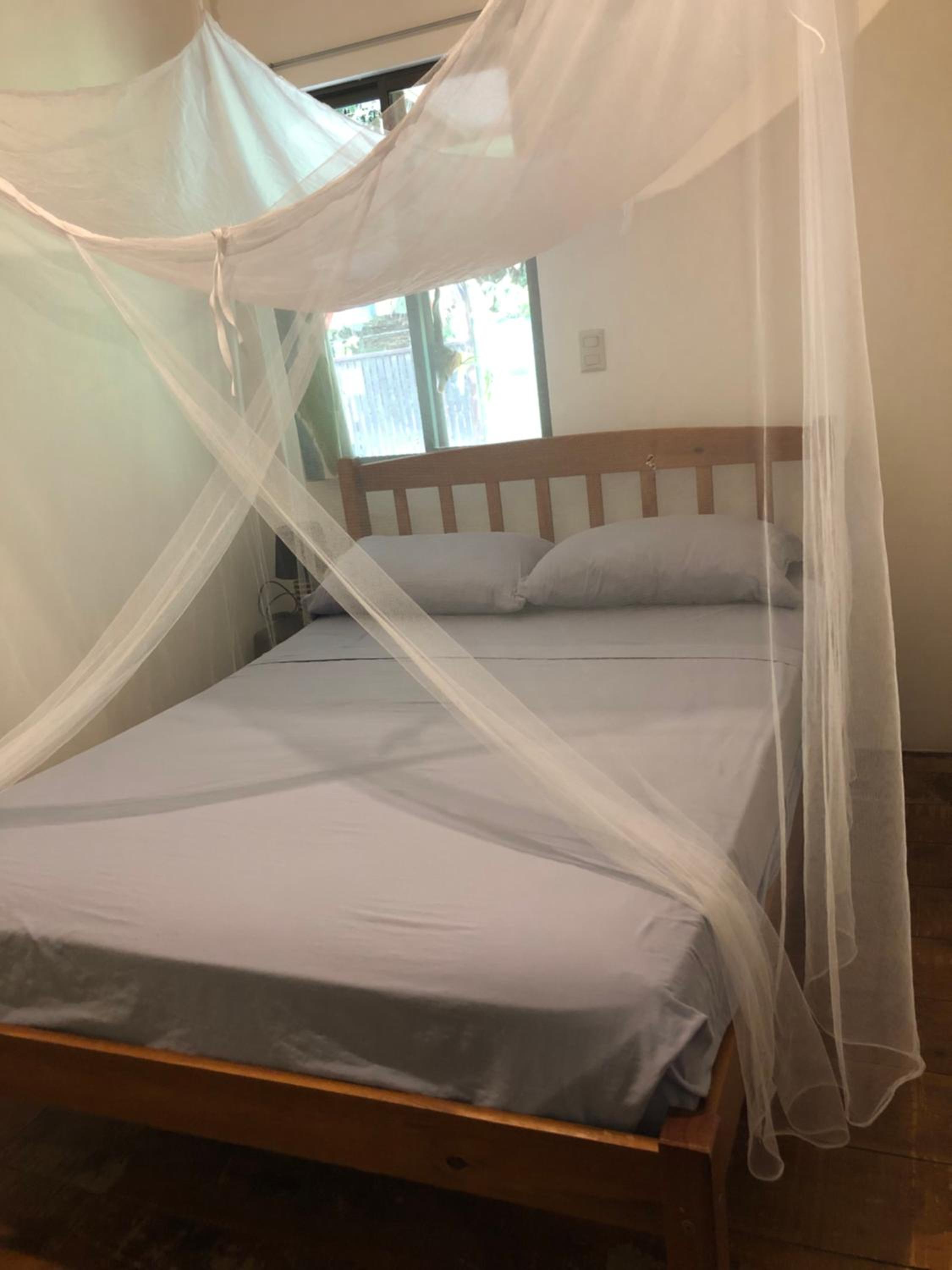 Casa Morpho Uvita Guesthouse