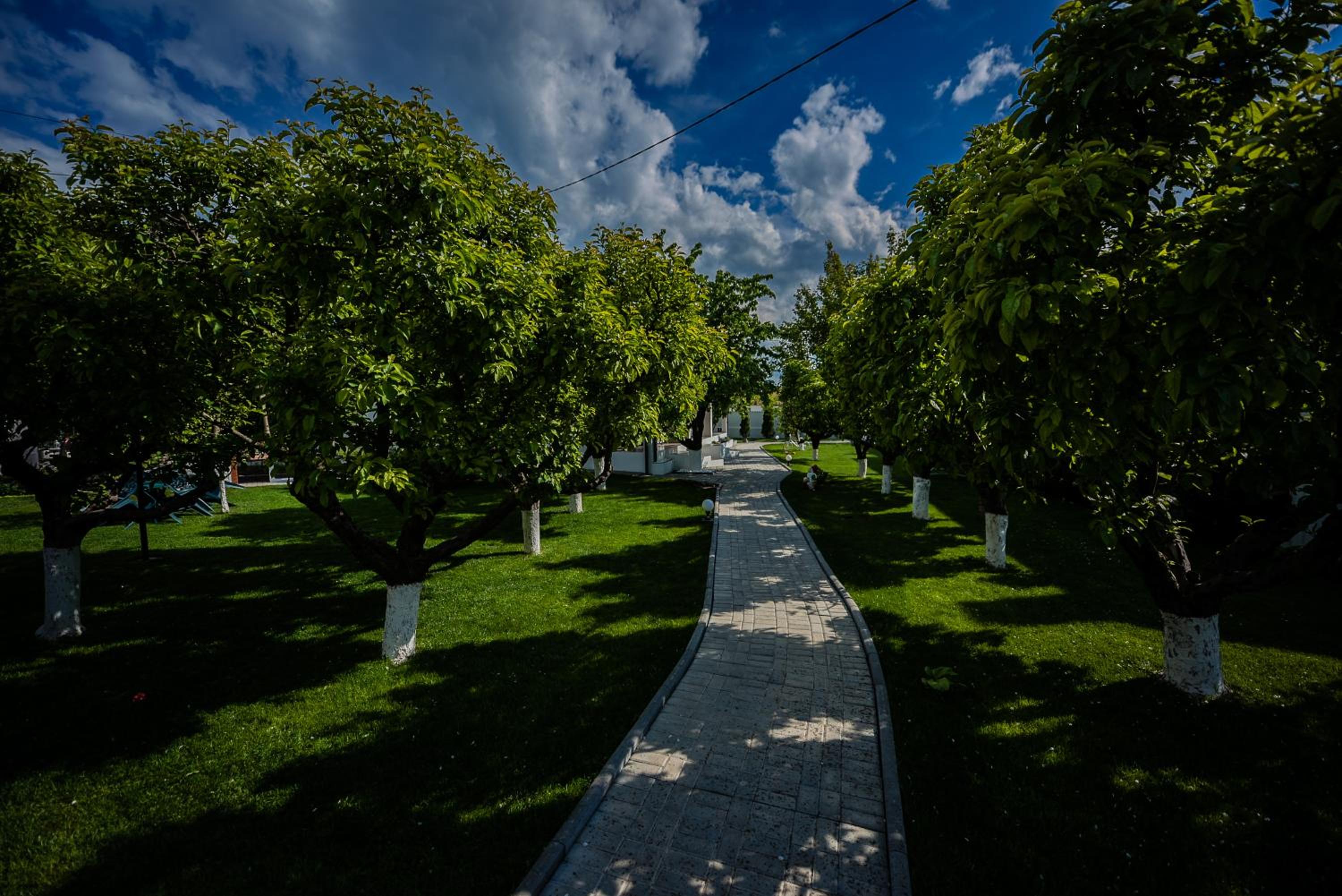 Photo 43