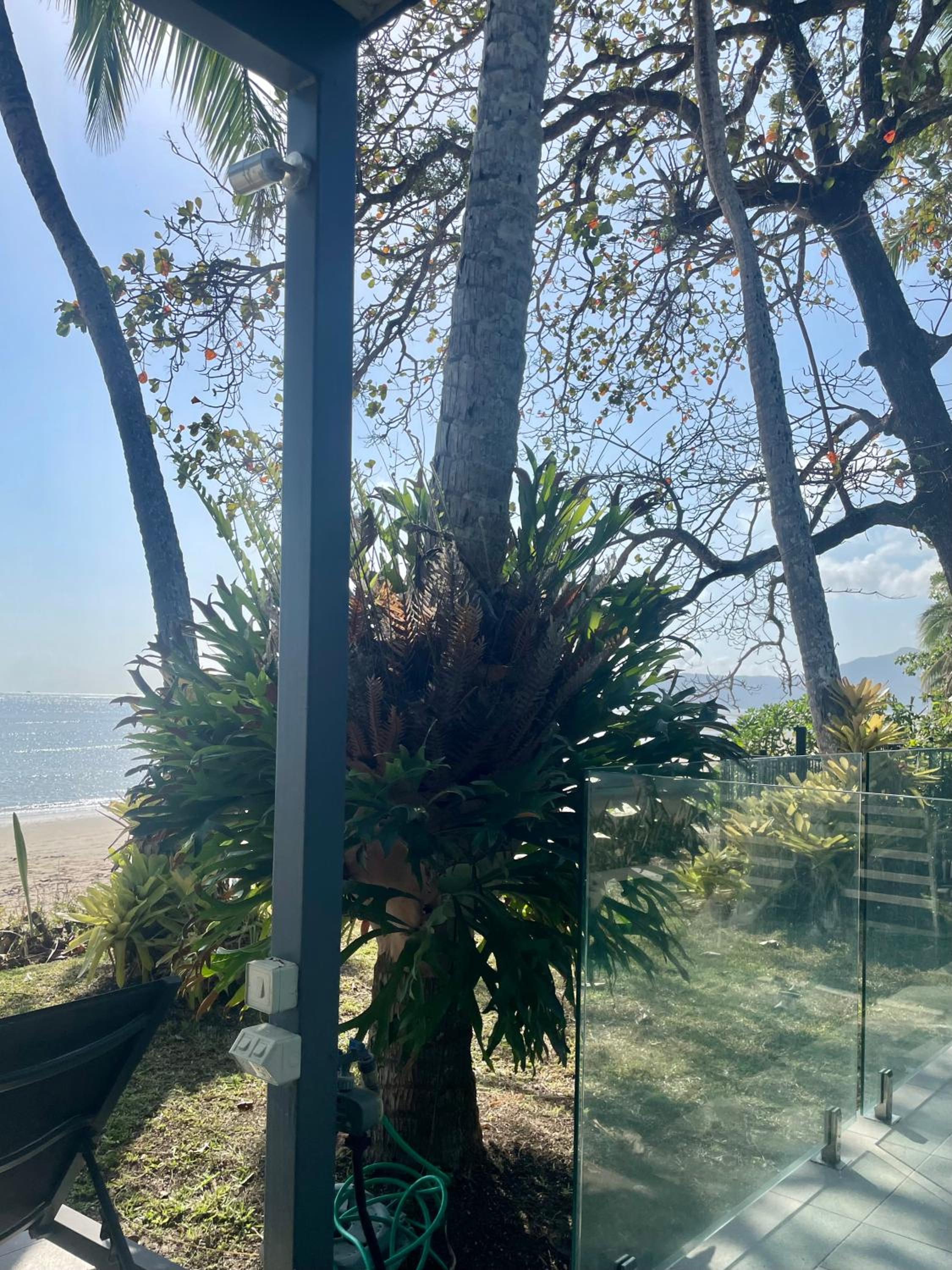 Sandcastle Retreat - Absolute Cairns beachfront