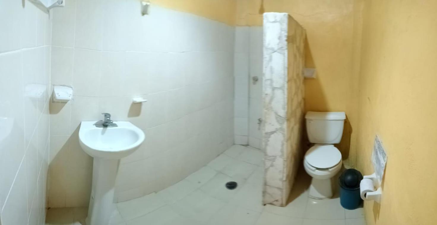 Photo 41